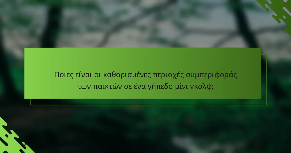 Ποιες είναι οι καθορισμένες περιοχές συμπεριφοράς των παικτών σε ένα γήπεδο μίνι γκολφ;